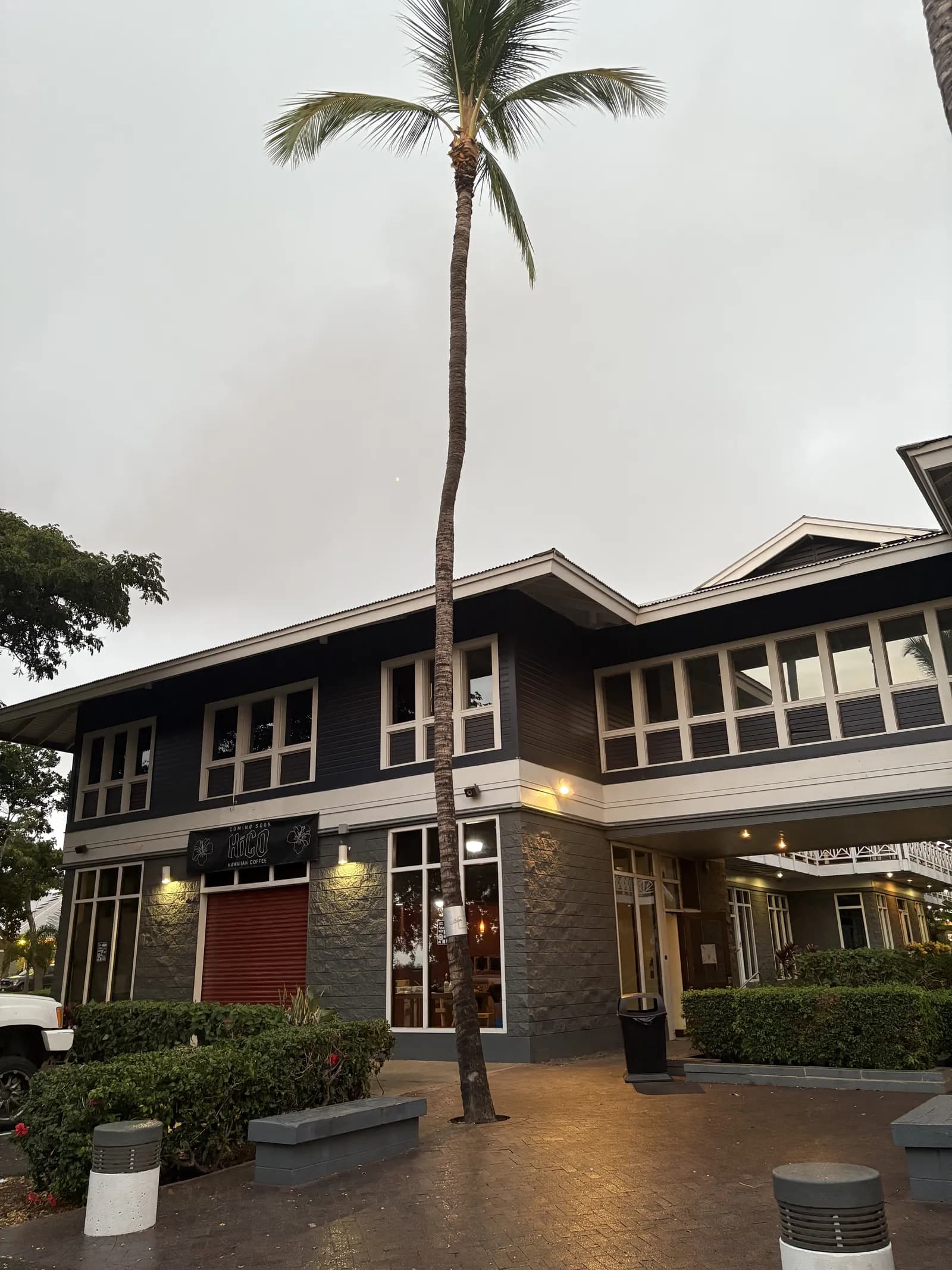 Ocean view living room window film